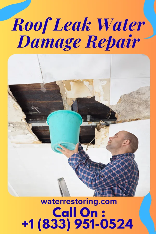 Roof Leak Water Damage Repair in Redfield, KS